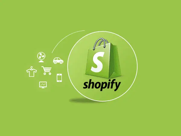 Company Shopify Pro Setup